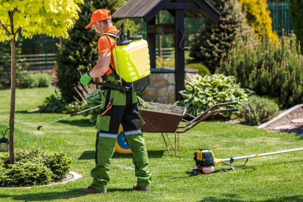 Seasonal Pest Control in Arroyo Grande, CA